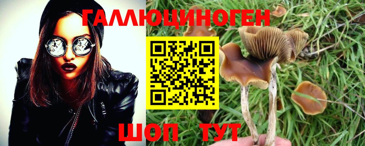 Псилоцибиновые грибы MAGIC MUSHROOMS Заринск